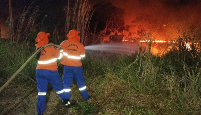 Situação de emergência por incêndio florestal cresceu 354% em agosto